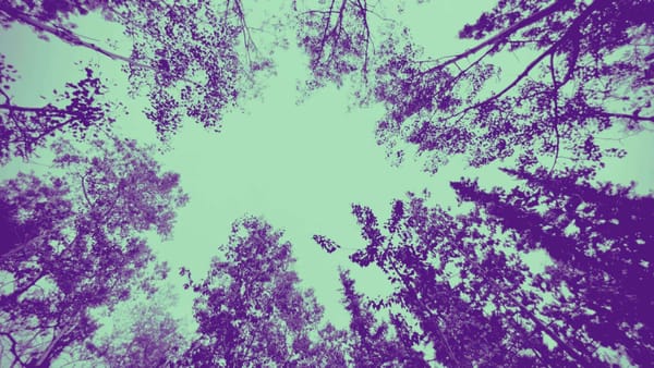 Why did I keep this?