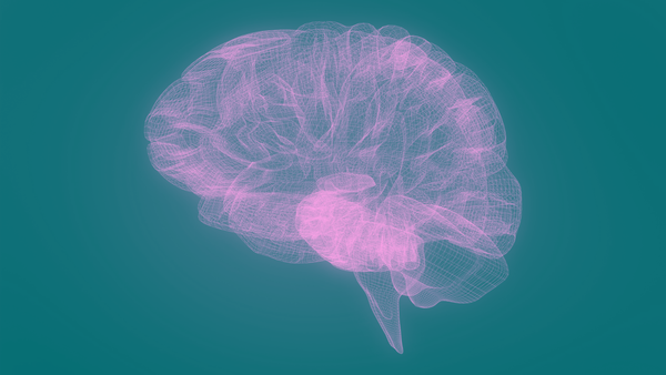 Thoughts on Job Experience: Conceptual Knowledge vs. Technical Chops