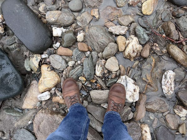 Wearing in vs. Wearing Out