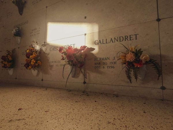 Temporality and Wisdom