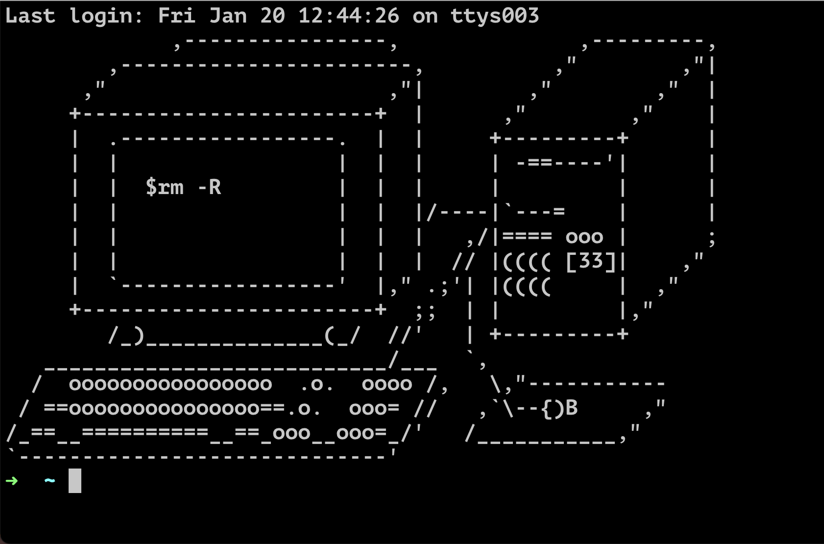 ASCII art in the terminal.
