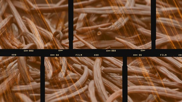 "Vanilla" isn't boring